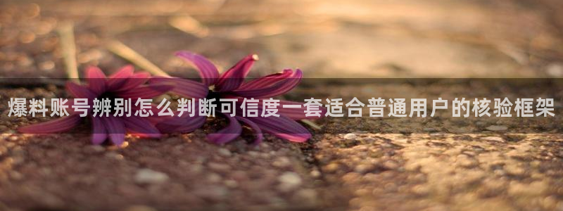 51吃瓜内容大全