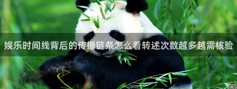 吃瓜入口