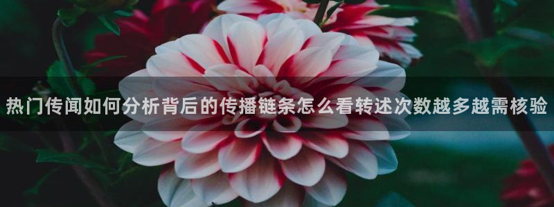 51吃瓜热点信息